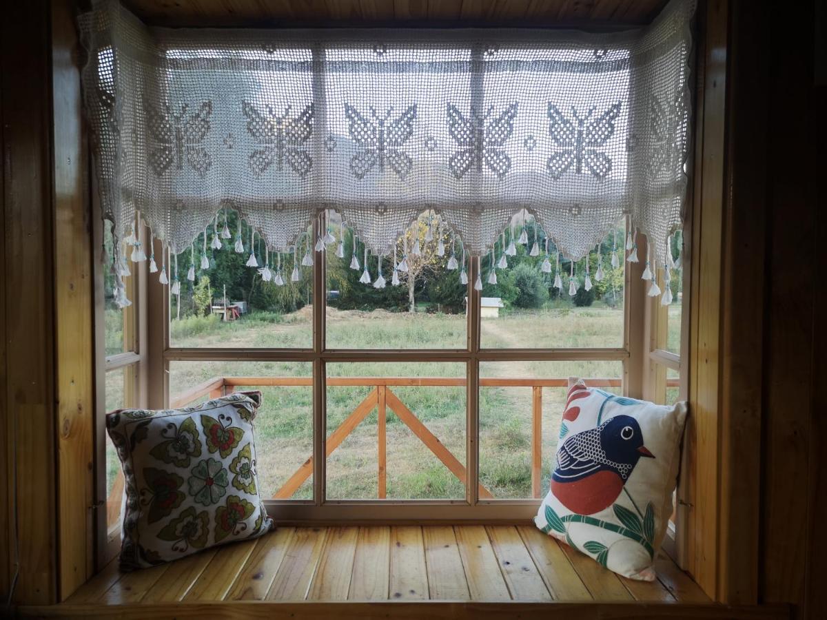 Cabana Jacaranda Salamanca Εξωτερικό φωτογραφία