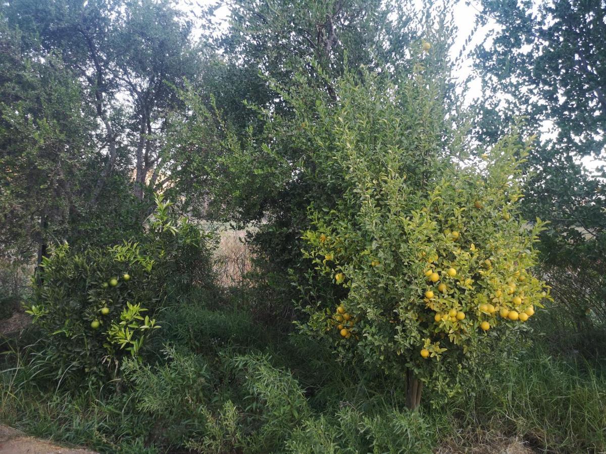Cabana Jacaranda Salamanca Εξωτερικό φωτογραφία